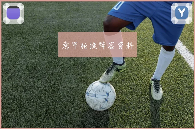 意甲轮换阵容资料