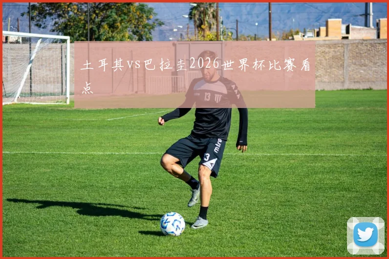 土耳其vs巴拉圭2026世界杯比赛看点