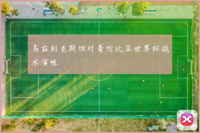 乌兹别克斯坦对哥伦比亚世界杯战术演练