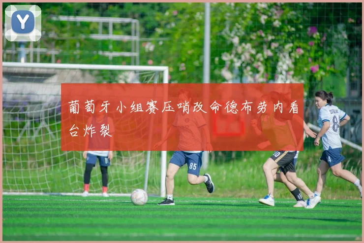 葡萄牙小组赛压哨改命德布劳内看台炸裂