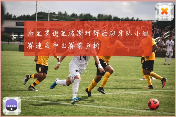 加里罗德里格斯对阵西班牙队小组赛速度冲击赛前分析