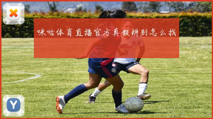 咪咕体育直播官方真假辨别怎么找